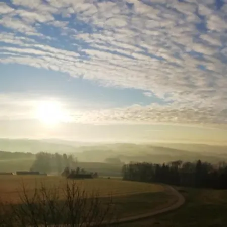 Landgasthof Peterbauer イン シェルディング